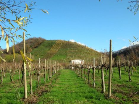 Reis mee.. door Italië naar het Prosecco-gebied