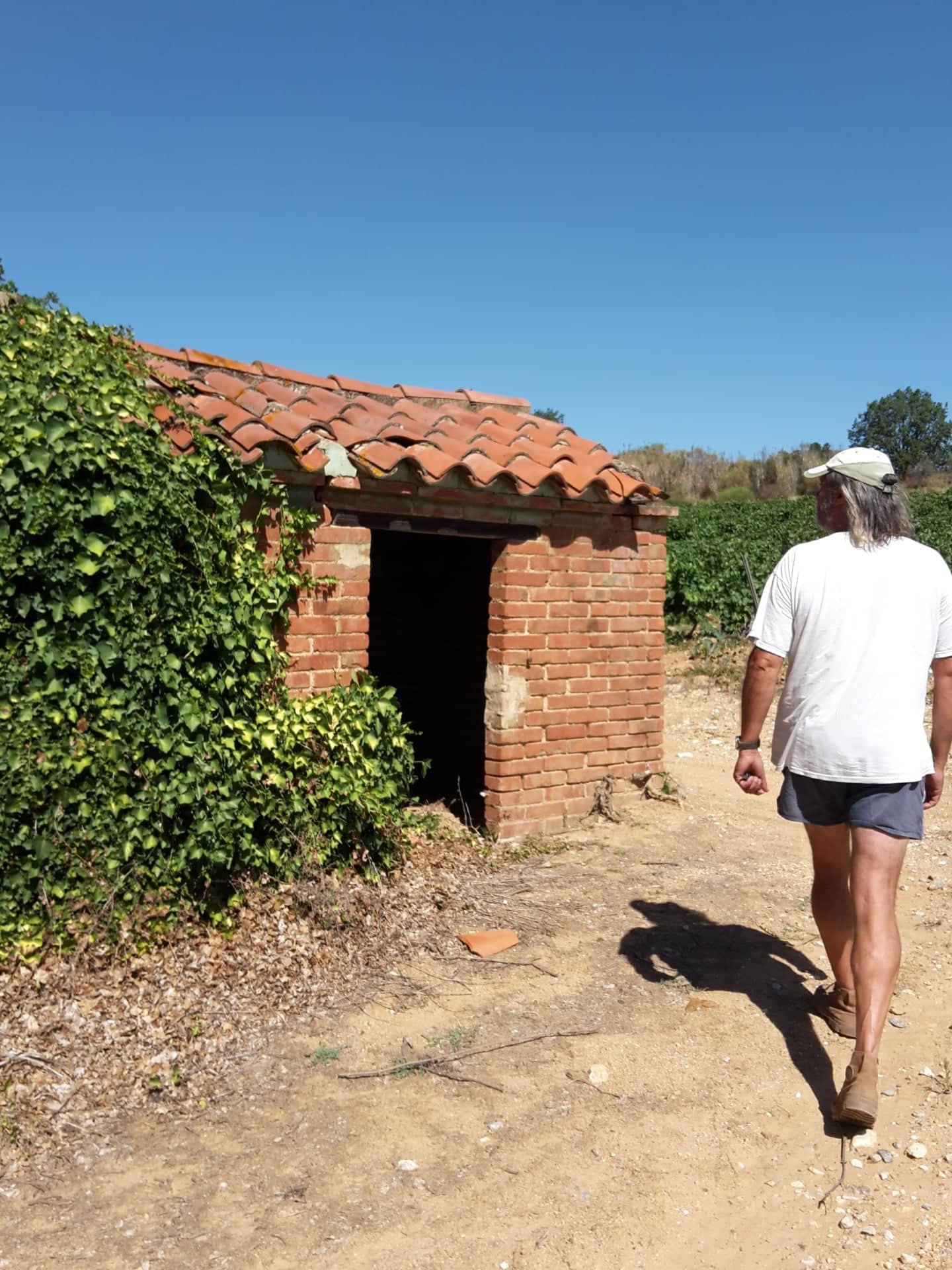 Reis mee door Frankrijk naar de Albères en de Middellandse Zeekust Reis mee door Frankrijk naar de Albères en de Middellandse Zeekust