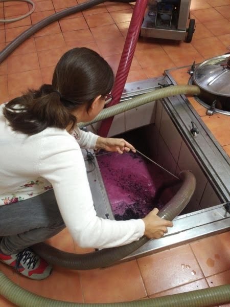 Reis mee.. door Spanje naar Tarragona Sangenís i Vaqué