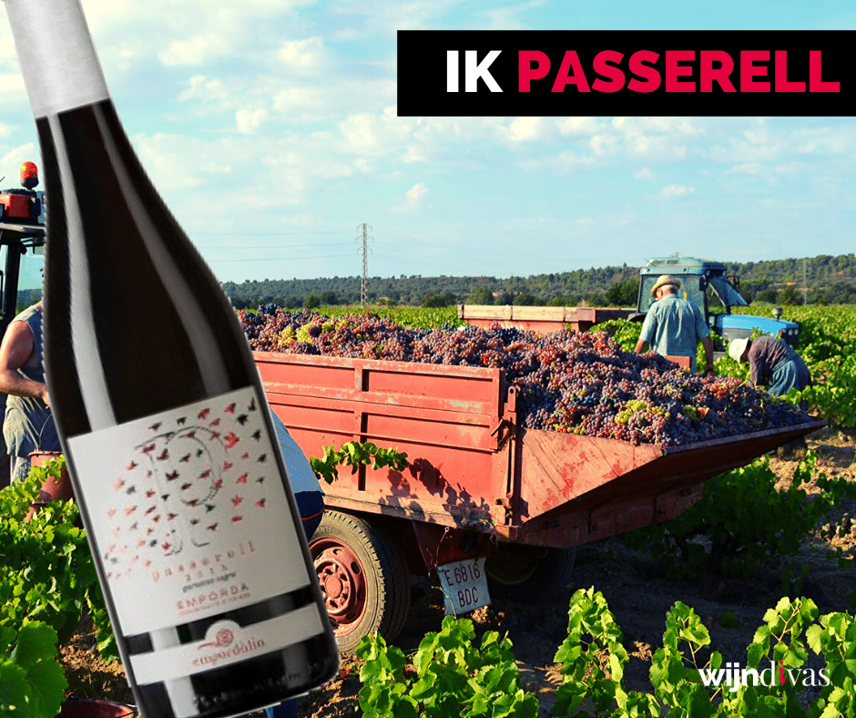 IkPas, Ik Wijndivas_Jan 2020 (5)