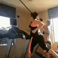 giphy (5)