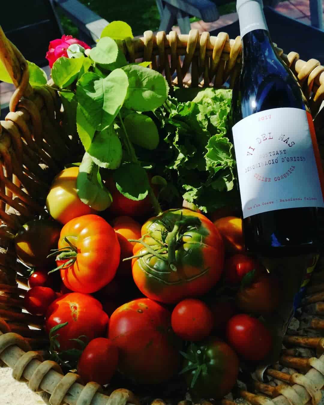 Vi del mas in groentemand