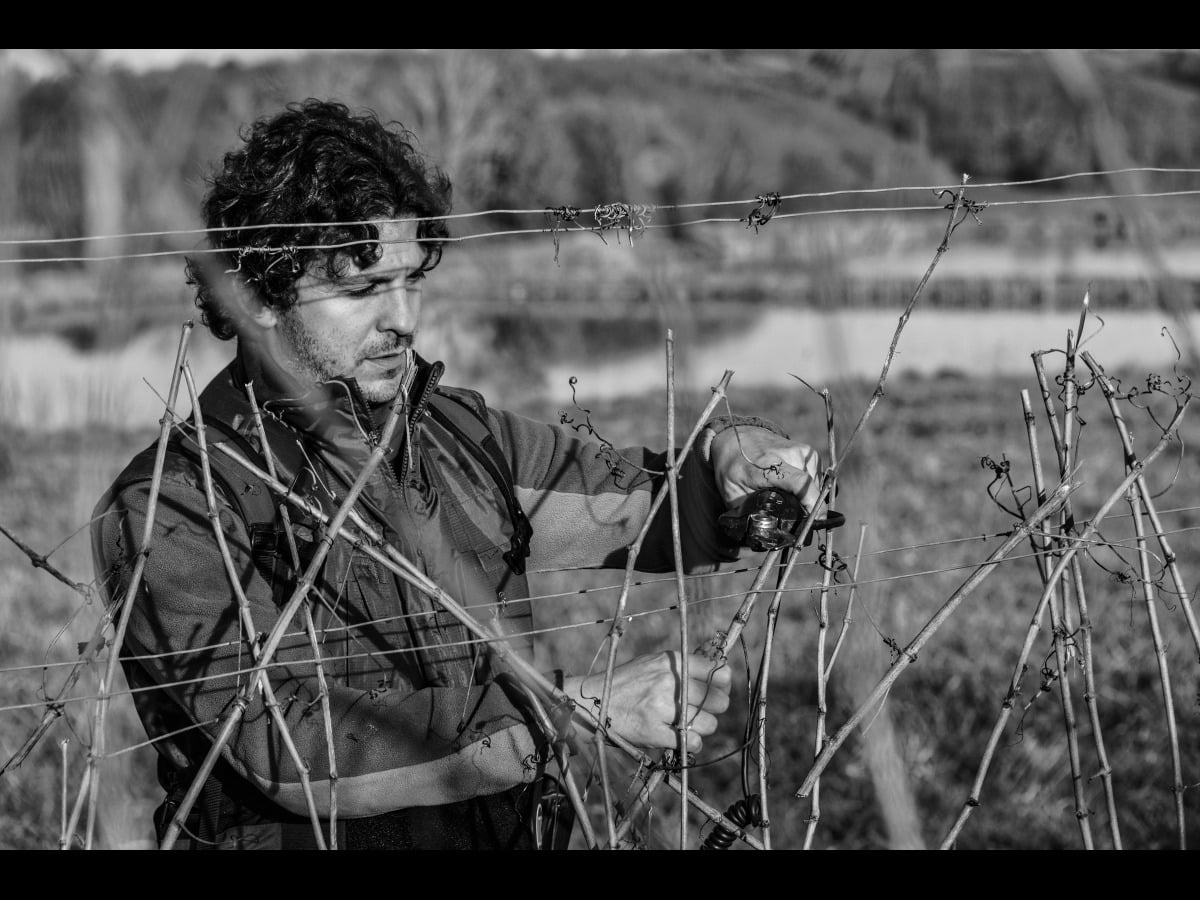 laffitte teston joris in de wijngaard