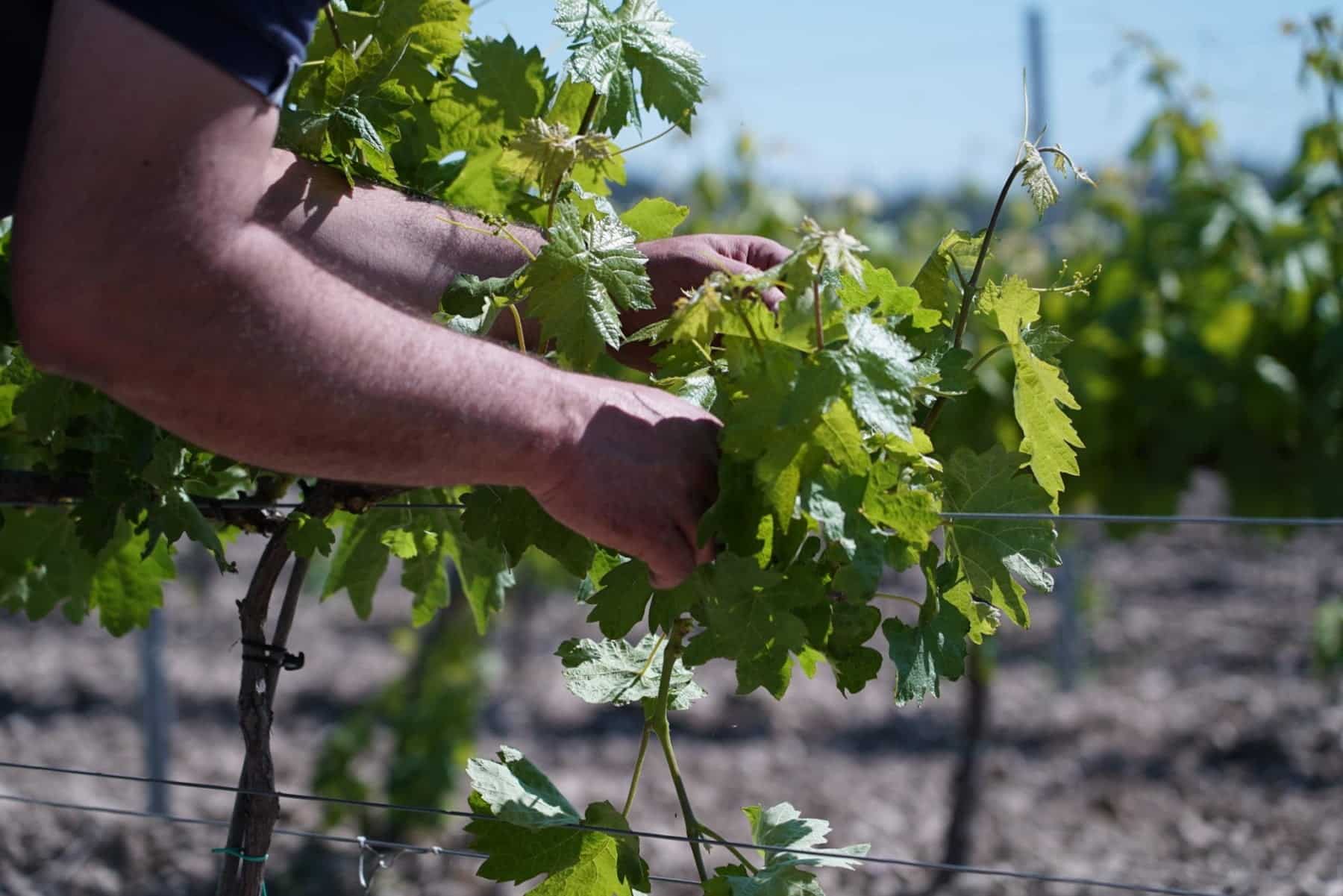 102907522_2659759084280287_852198219775388393_o