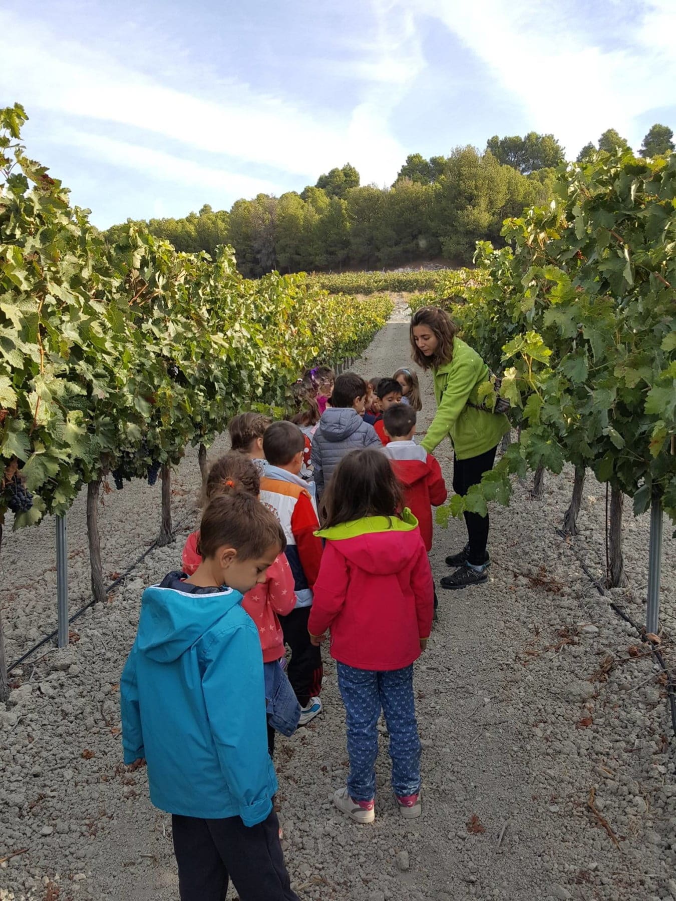 14608944_1798306470425557_796075641556332388_o