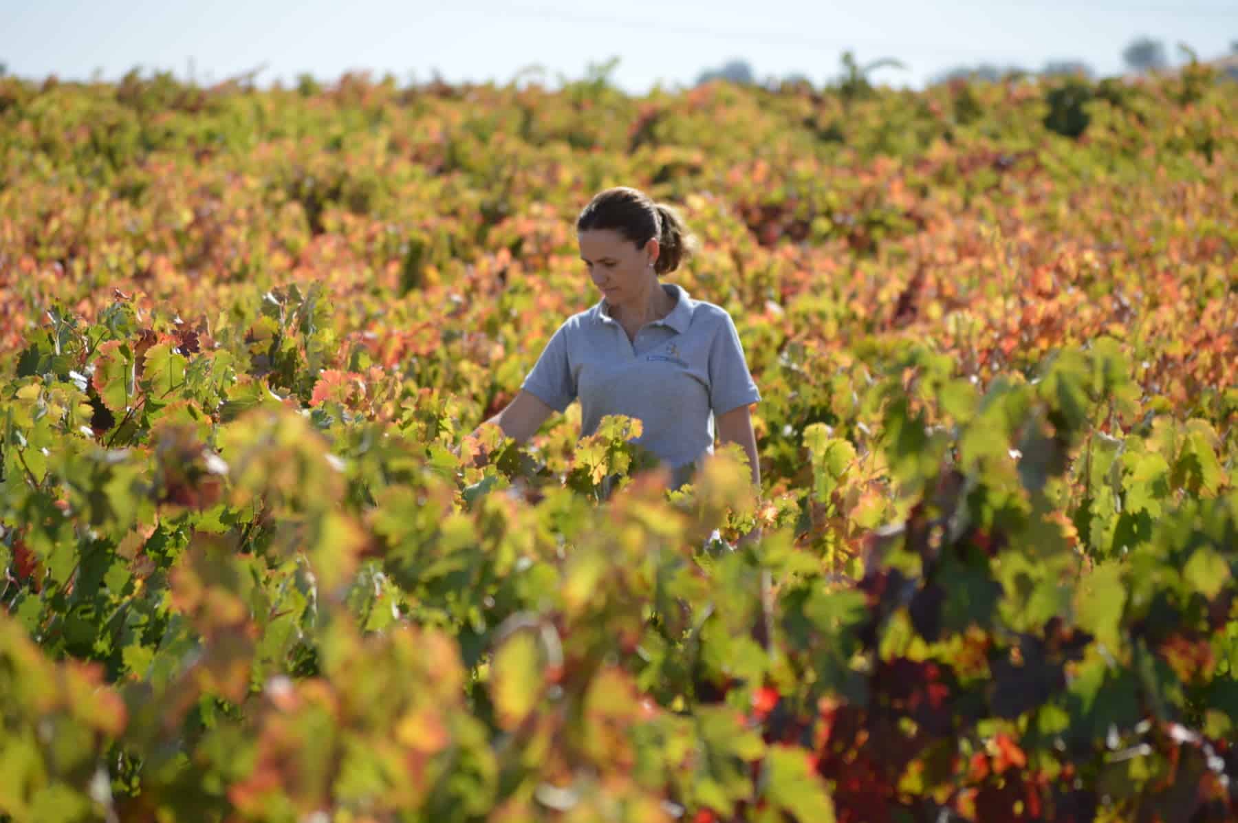 Fotos Bodega Sinfo (40)