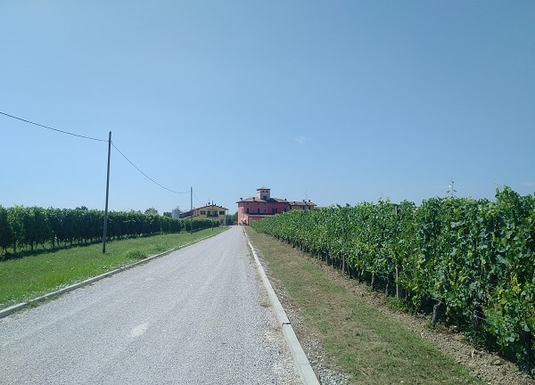 la-rifra-wijnhuis-desenzano-del-garda-1