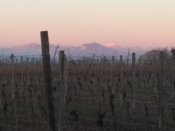 la-rifra-wijnhuis-desenzano-del-garda-3