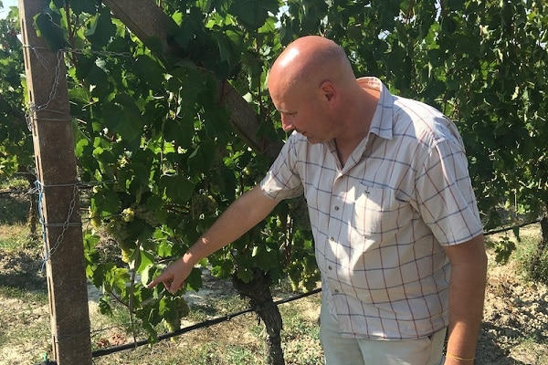 La Rifra wijnhuis La Rifra wijnhuis