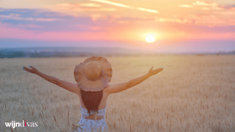 Wijndivas Maandbox Zorgeloze Zomermomenten Box