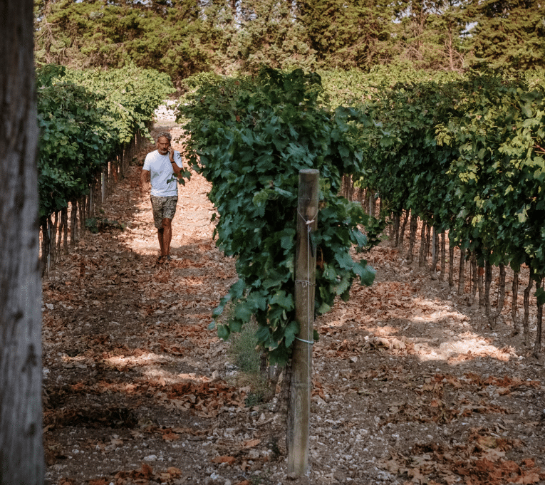 Schermafbeelding 2024-09-18 131106