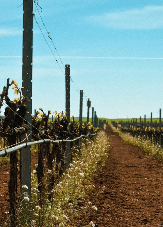 Schermafbeelding 2024-09-18 133436