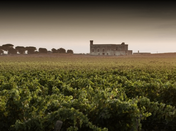 Schermafbeelding 2024-09-18 135510