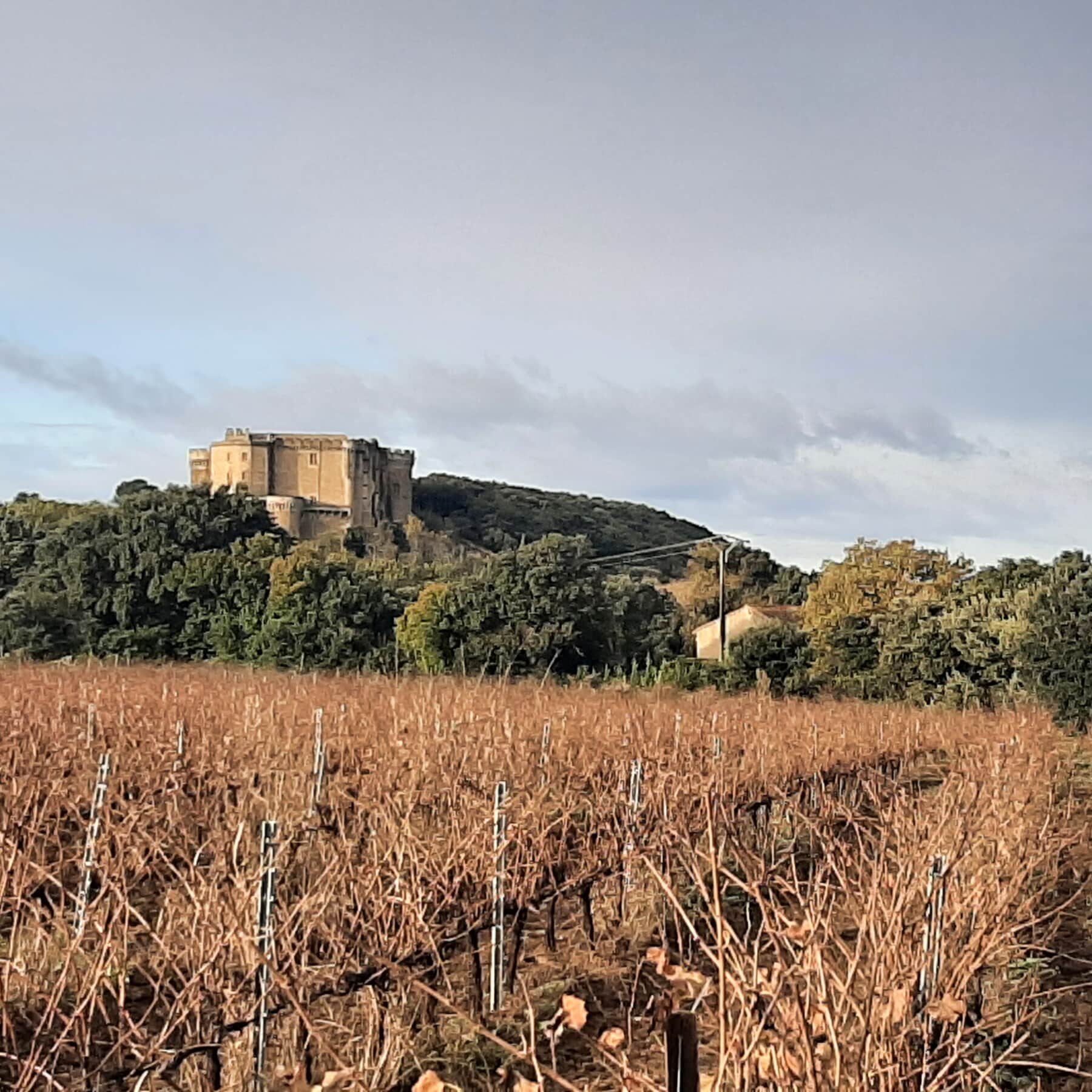 Suze-kasteel-Suze-kasteel-20241120_085635